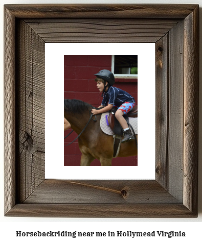 horseback riding near me in Hollymead, Virginia